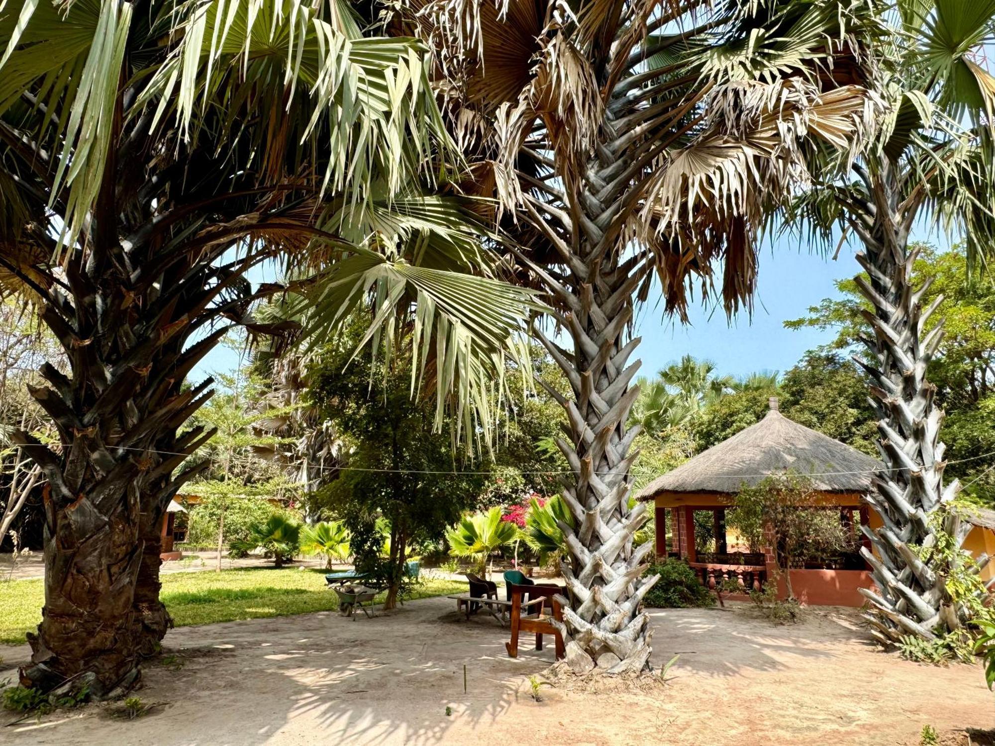 Little'S Nature Retreat Kartong Exterior foto